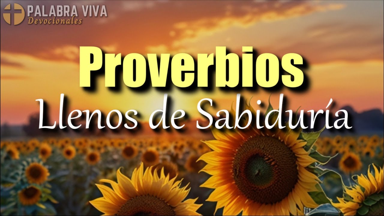 Proverbios para recibir sabiduría y paz de parte de Dios | Biblia hablada | Bible audio