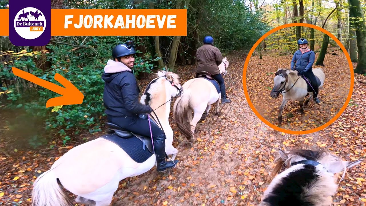 VOOR HET EERST RIJDEN OP EEN FJORD! - FJORKAHOEVE | De Buitenrit Jury Afl.7