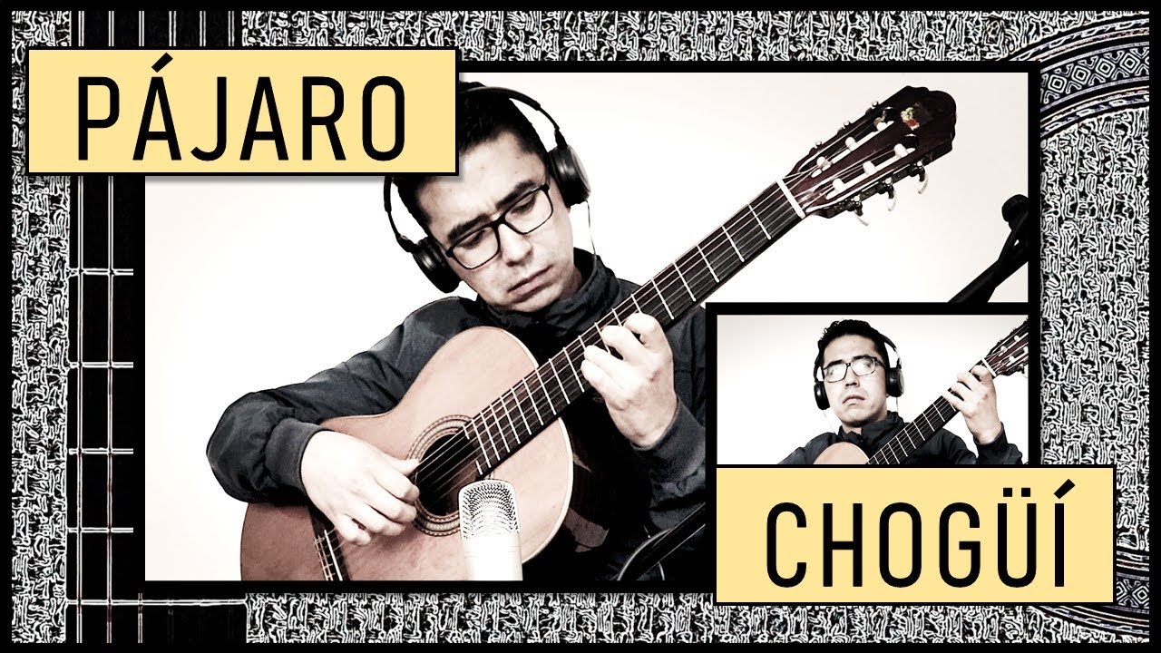 PÁJARO CHOGÜÍ Guitarra