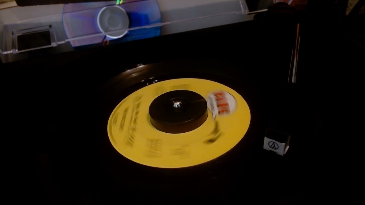 The McCoys / (You Make Me Feel) So Good