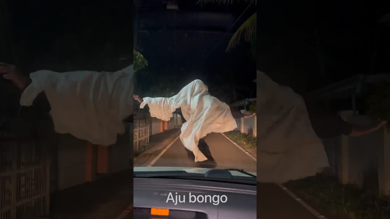Serbian dancing lady in kerala😹 