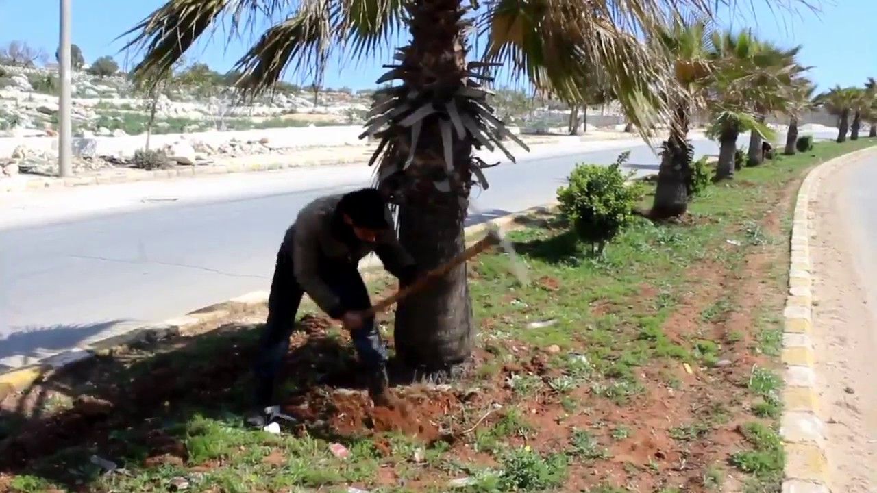 ريف حلب - دارة عزة || تقرير عن مشروع الخدمات التي تقوم به منظمة شباب الفرقان في المدينة
