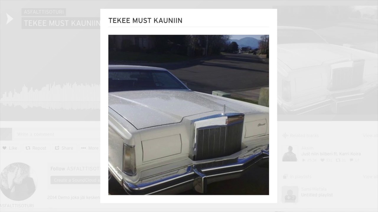 Ruudolf - TEKEE MUST KAUNIIN