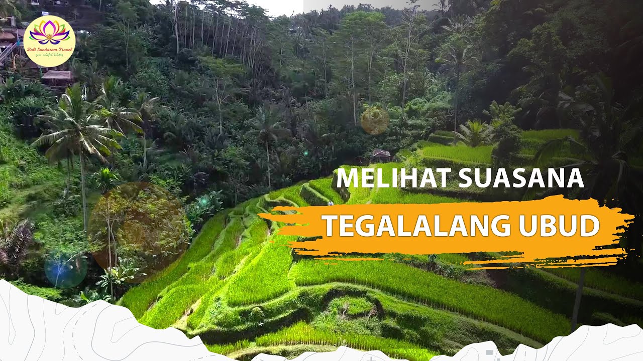 HAMPARAN SAWAH TERBAIK DI DUNIA!  Musik Rindik Bali #ubud #bali #travel #balisundaram