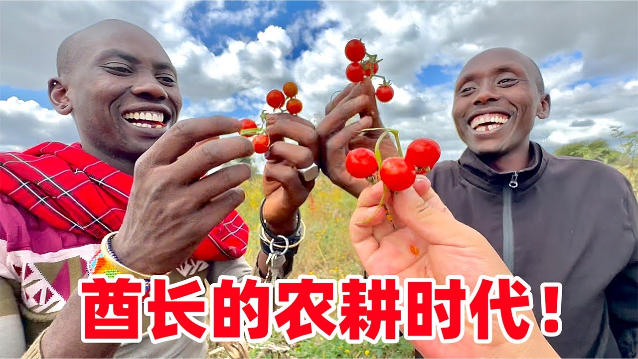 震撼又惋惜！看看非洲大酋长1200亩地产量，真回到了农耕时代