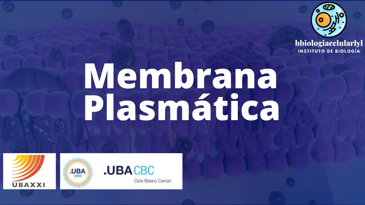 Clase 14. MEMBRANA PLASMÁTICA. Características y Transporte. #UBAXXI y #CBC