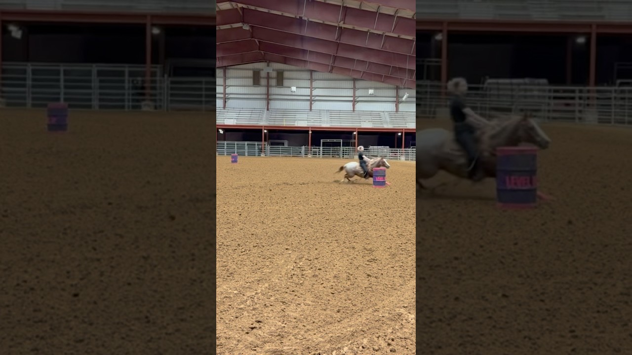 Another view of Roany pony taking home some $$! 