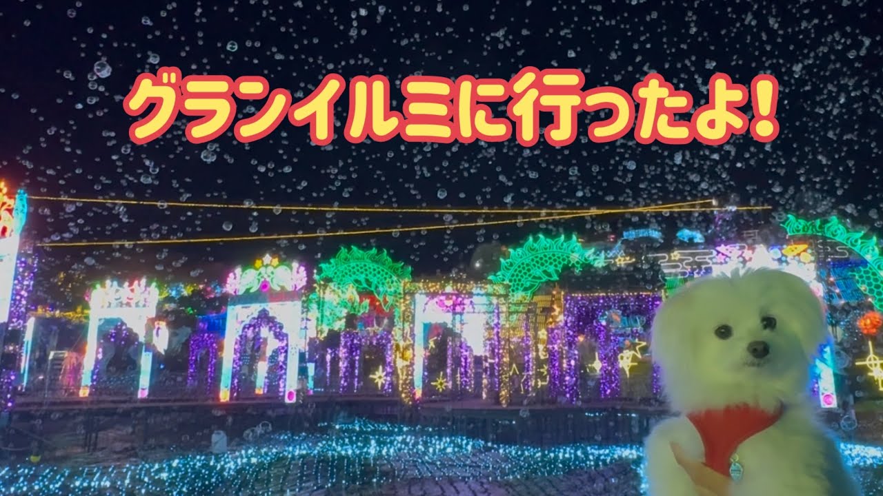 グランイルミに行ったよ！