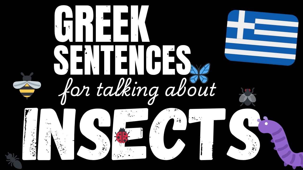 100 Easy Greek sentences - Insects | Learn A1 Greek vocabulary