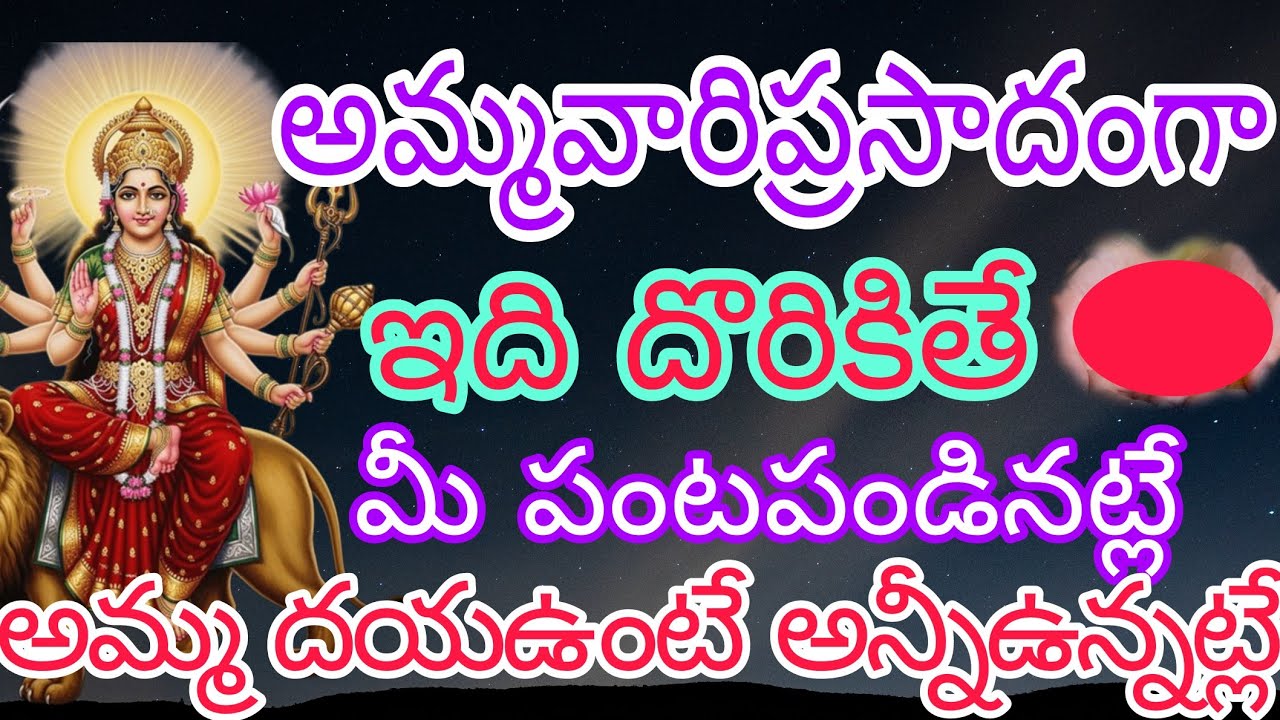 అమ్మవారి ప్రసాదంగా ఇది దొరికితే మీ పంట పండినట్లే అమ్మదయ ఉంటే అన్నీ ఉన్నట్లే