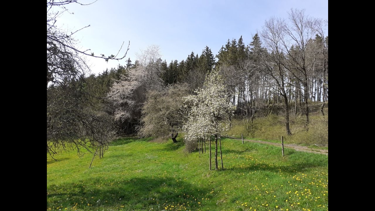 Mai-Spaziergang bei Katzwinkel in der Eifel - Muttertag 2021