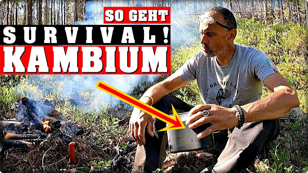 So geht Survival: iss, was der Wald hergibt!