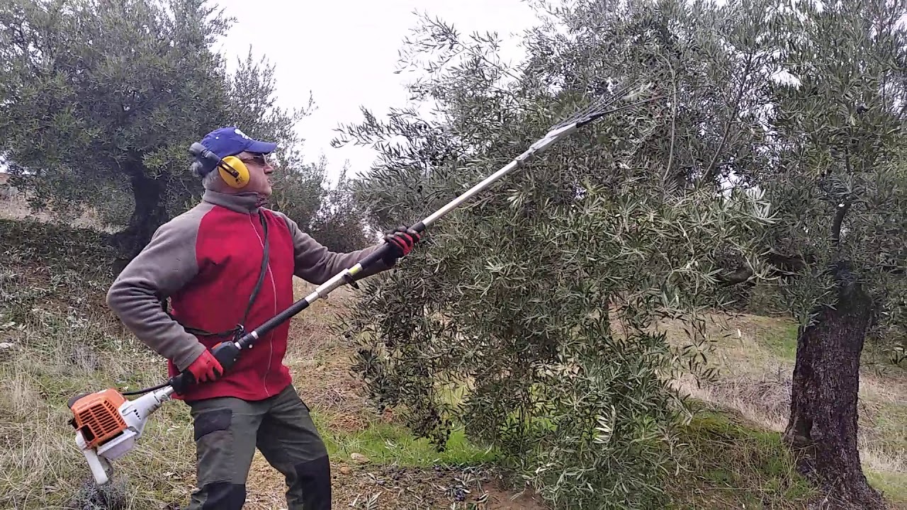 Prueba peine gasolina Stihl