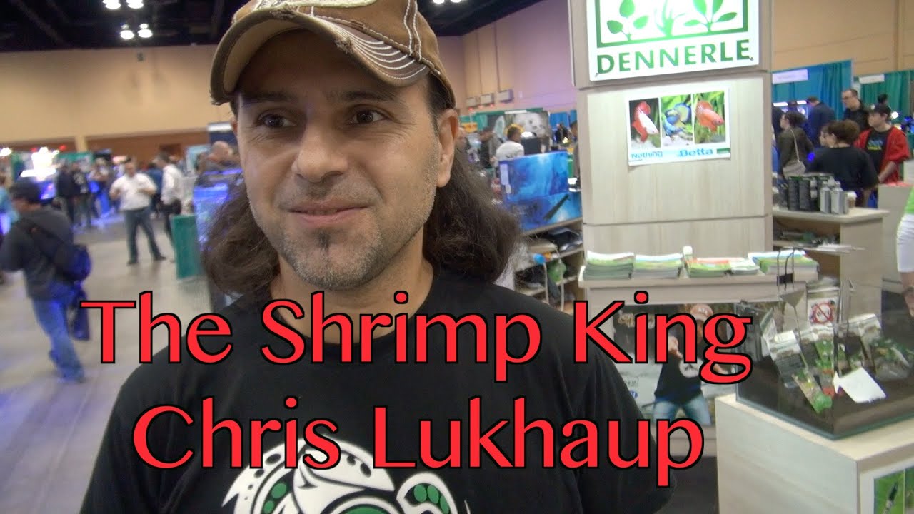 The Shrimp King Chris Lukhaup