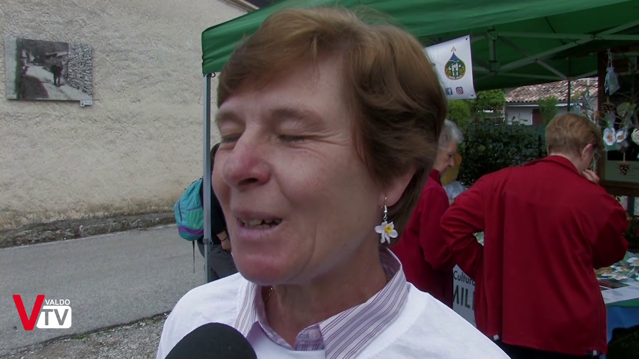 Festa del Narciso 2019 - Milies di Segusino (TV)