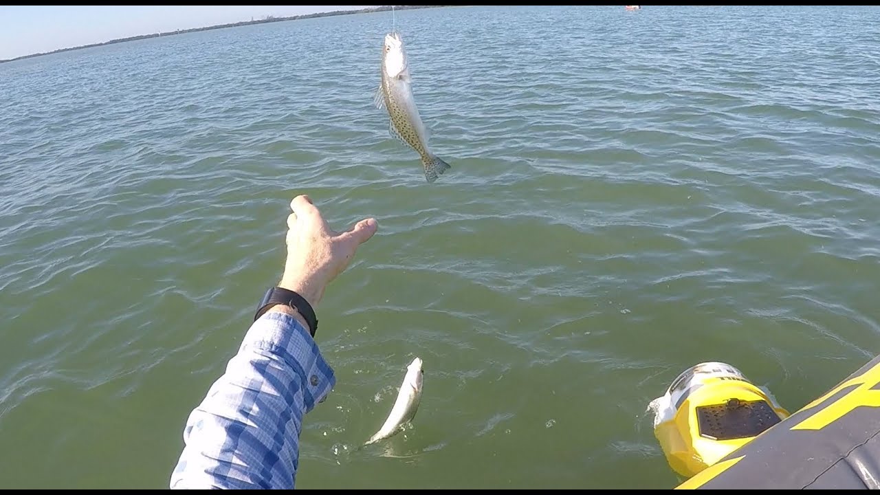 In Shore Spin Fishing St. Petersburg Florida - Feb, 2018