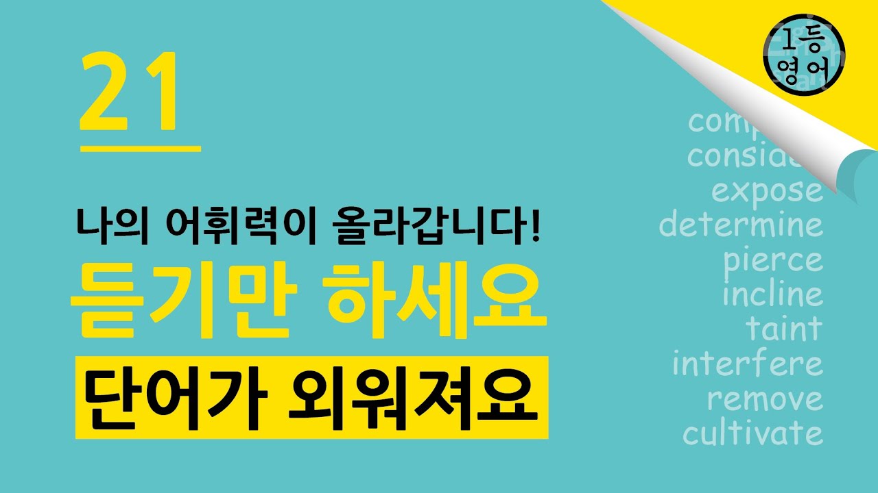 1등 영어! 1등 영어! 들으면 단어가 정말로 외워져요. 221-230 (21)