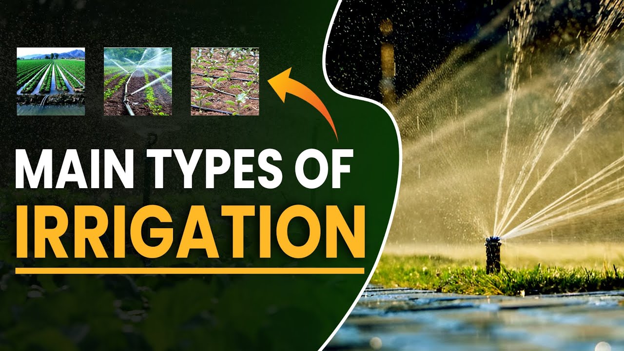 What is Irrigation? | Different Types of Irrigation Systems in Agriculture | Yoshu