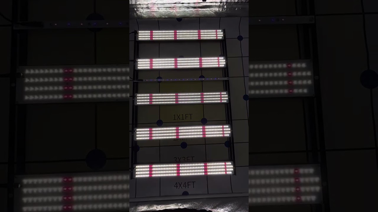 400W LED Grow Light for 4✖️4 grow area