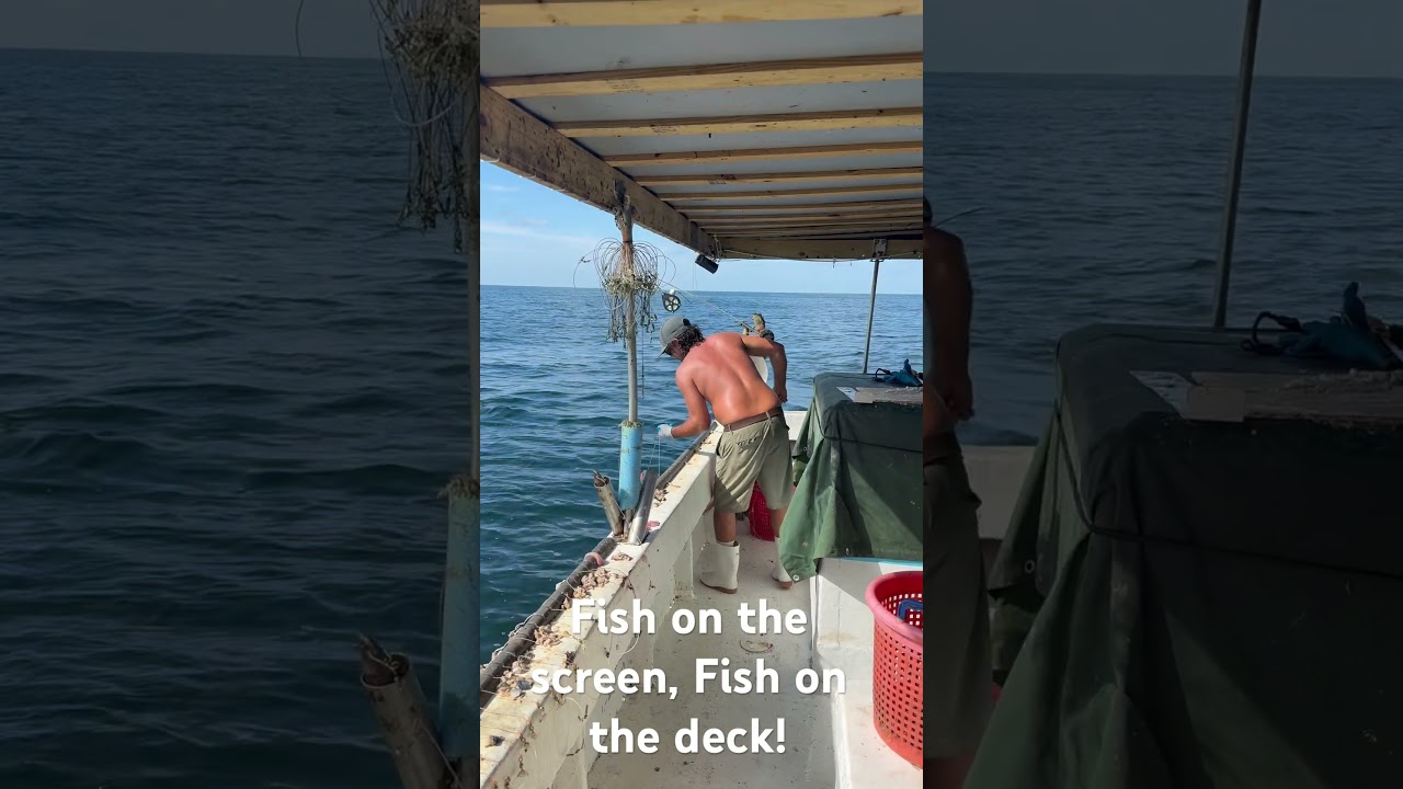 #fishing