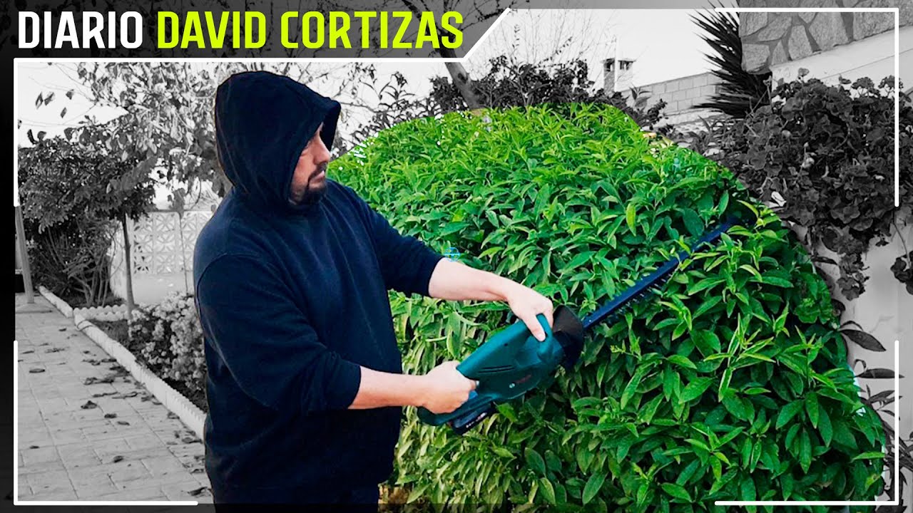 Probando NUEVO Corta Setos - David Cortizas Diario - 14/1/25