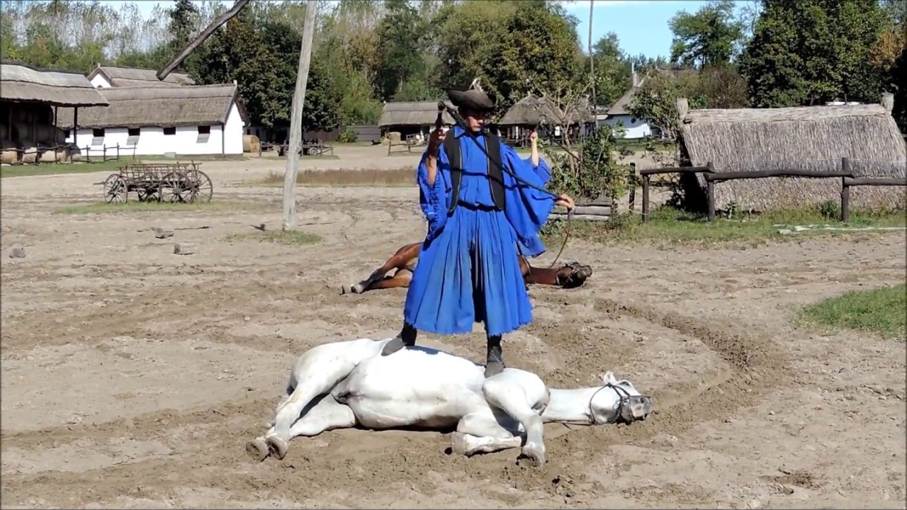 Varga Tanya Horse Show in Hungary
