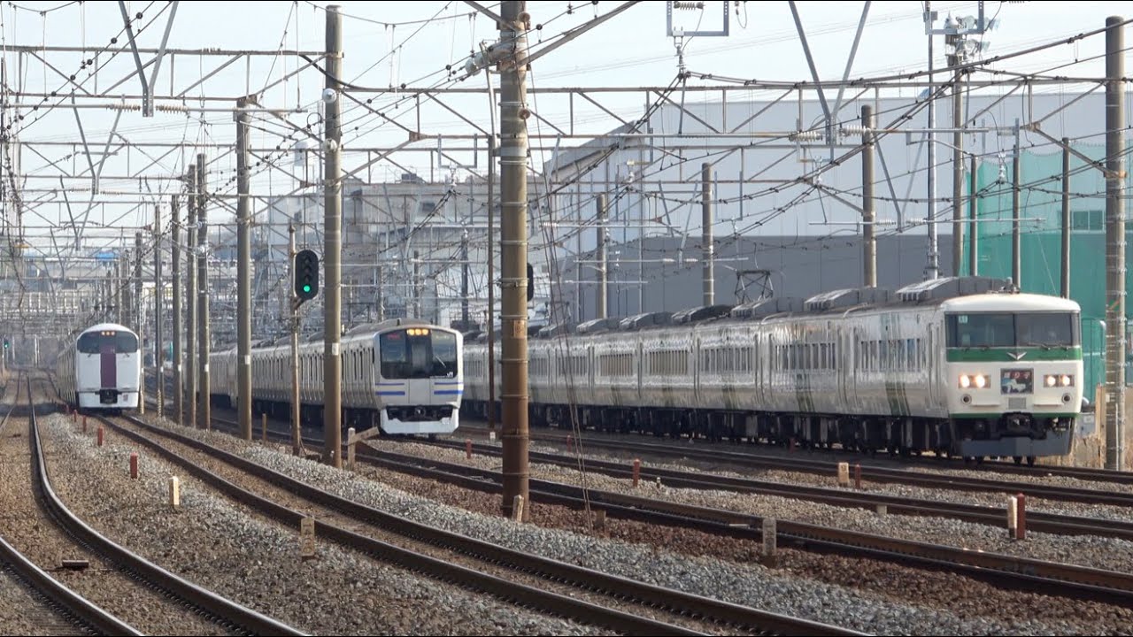 【消えゆく3形式の並び】185系・E217系・215系 3列車並走 2021.3.9