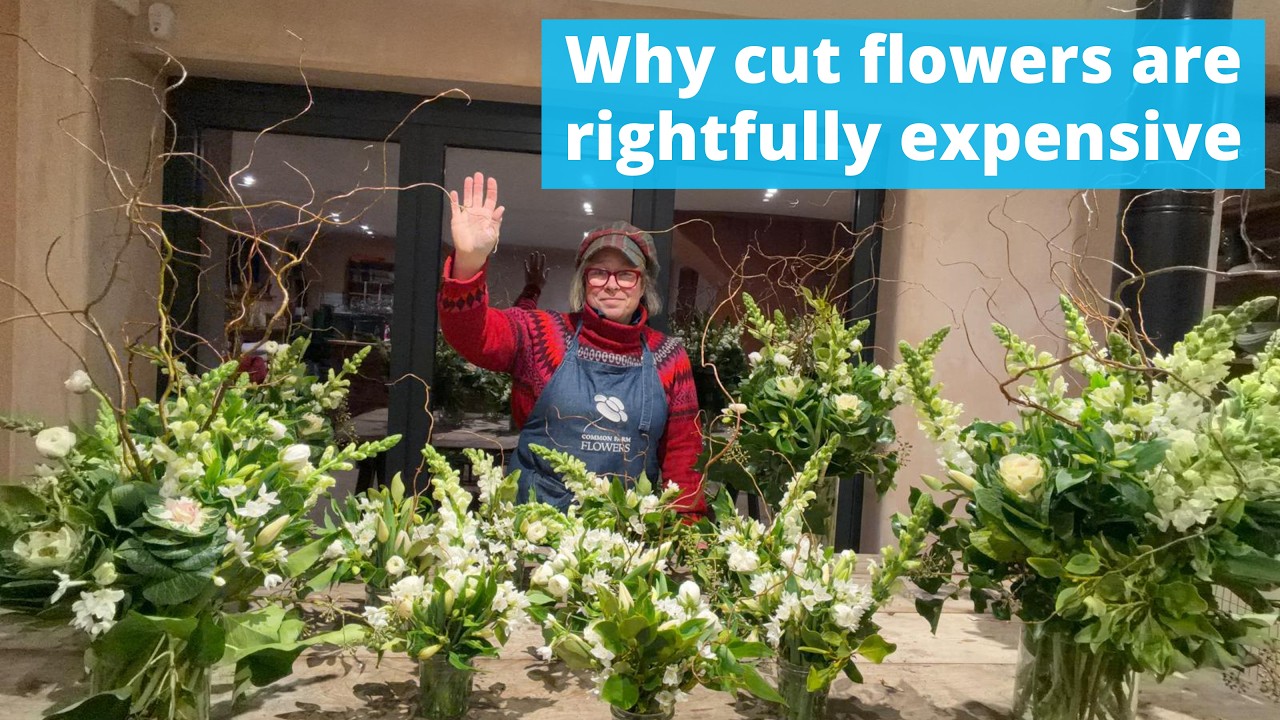 Why cut flowers are rightfully expensive