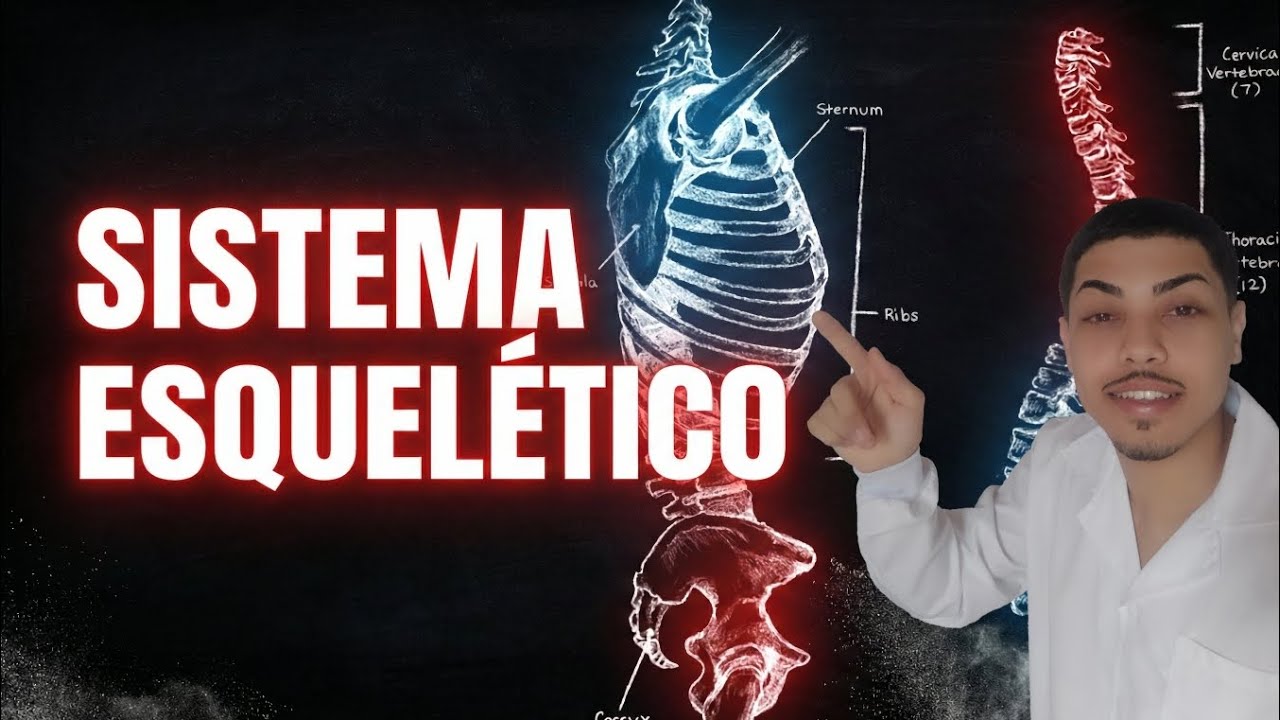 SISTEMA ESQUELÉTICO(1/4) - Introdução/Anatomia 