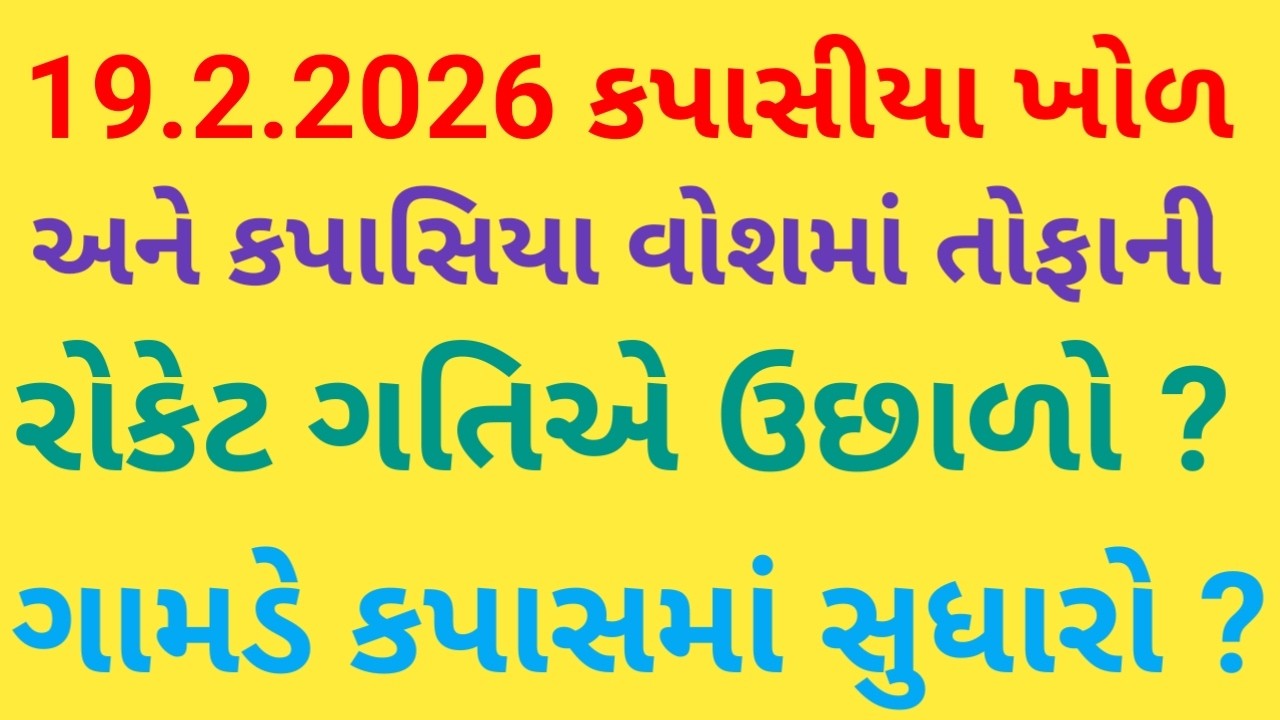 કપાસિયા વોશ અને કપાસિયા ખોળના વાયદામાં તોફાની રોકેટ ગતિએ ઉછાળો જોવા મળ્યો કપાસમાં ગામડે ઉછાળો જોવા
