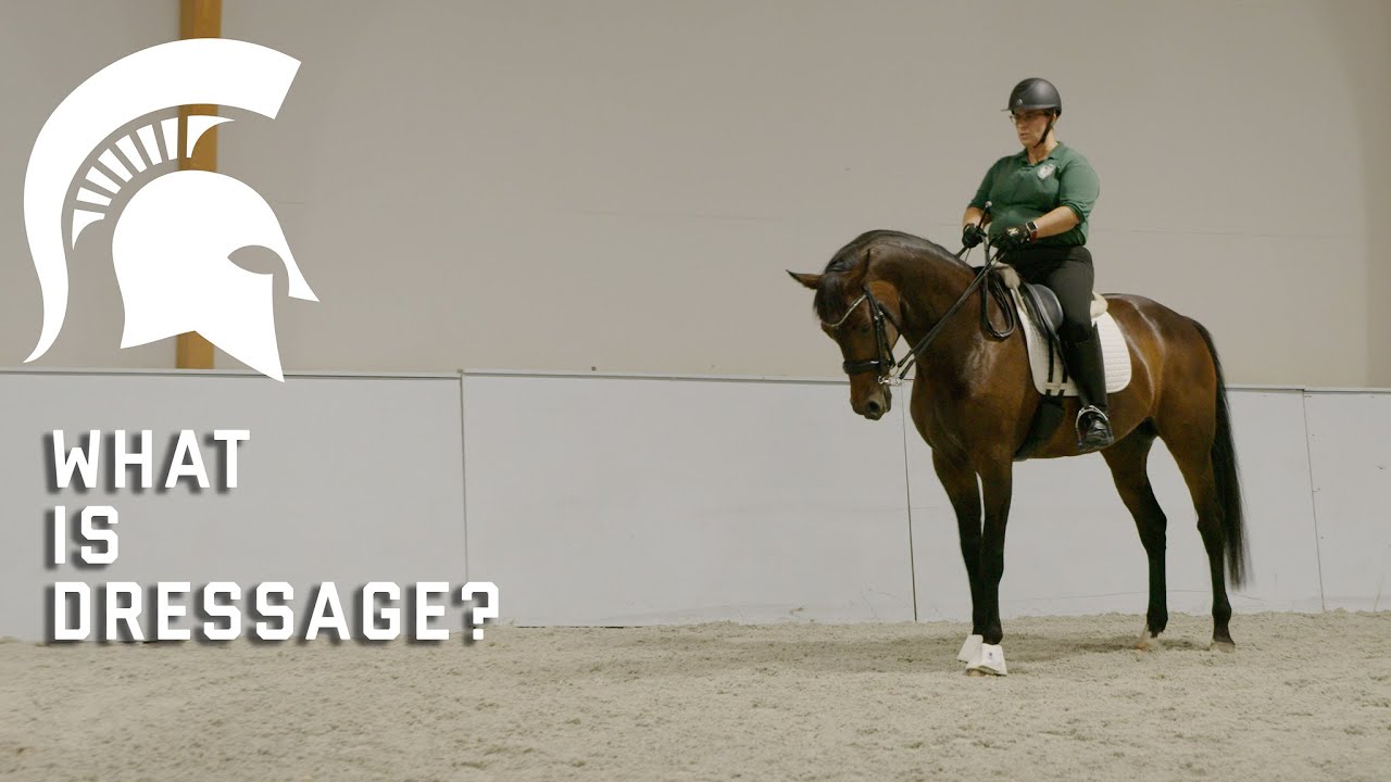 What is Dressage?