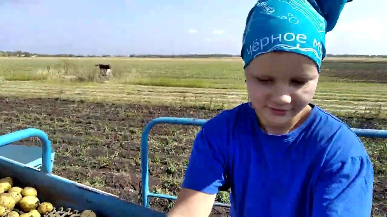 НАЧАЛО УБОРКИ КАРТОФЕЛЯ 2020г.