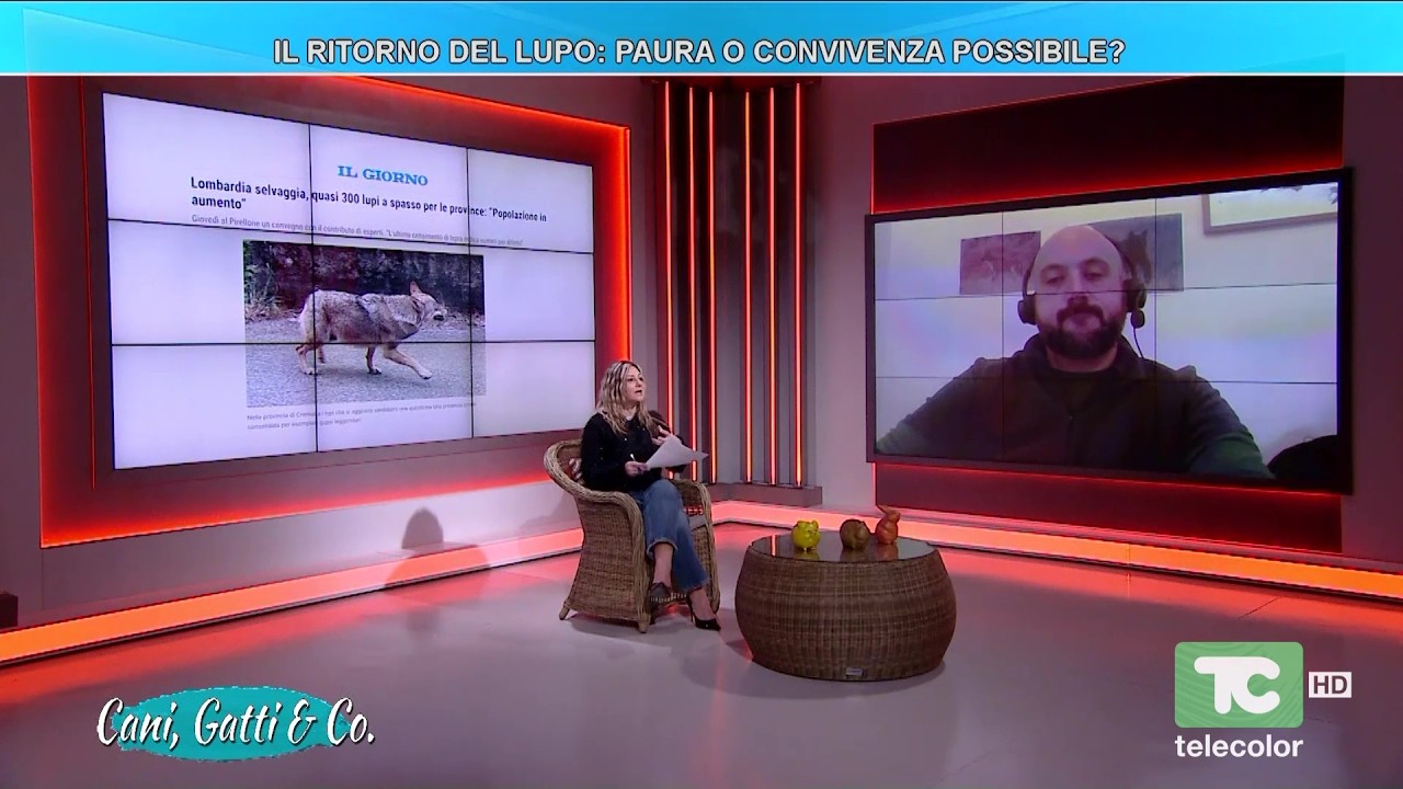 Il ritorno del lupo: paura o convivenza possibile?