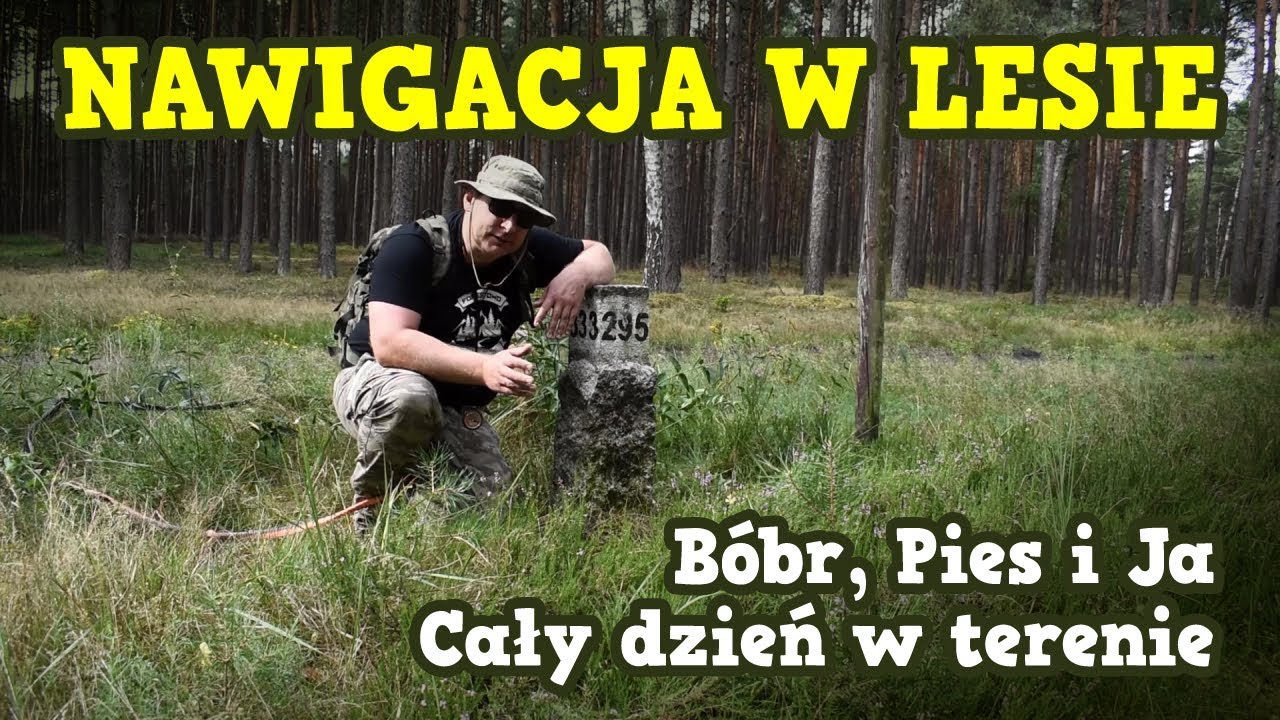 NAWIGACJA W LESIE, BÓBR, ŻABA, PIES, I JA