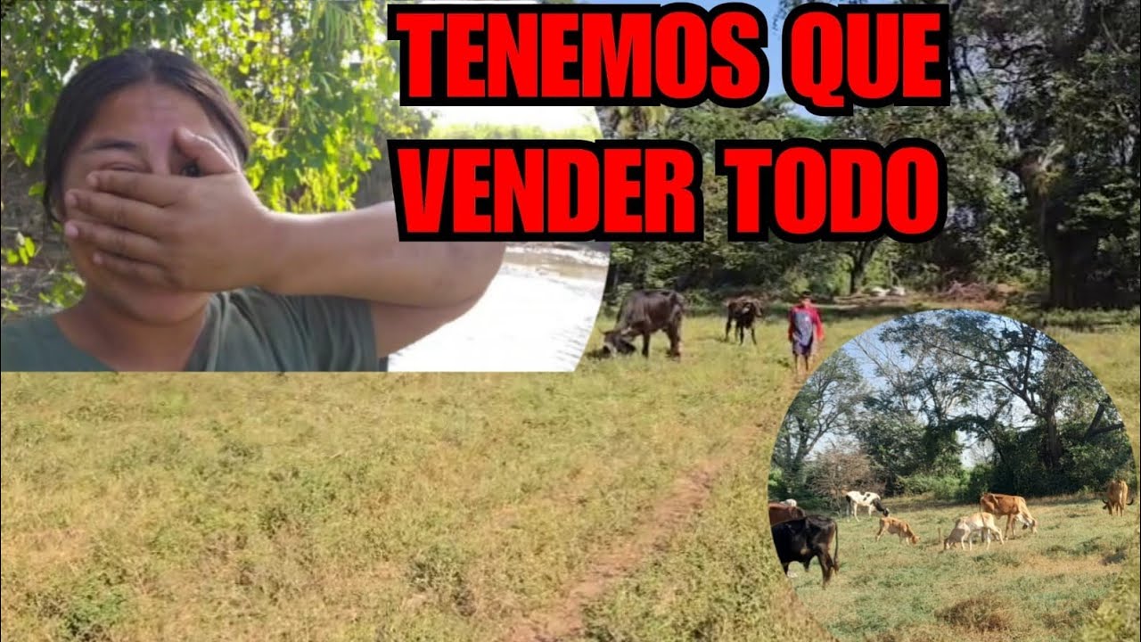 TREMENDA BRONCA 😫TENEMOS NOS ECHARON DE AQUI YA NO TENDREMOS MÁS VACAS 🐄 😭