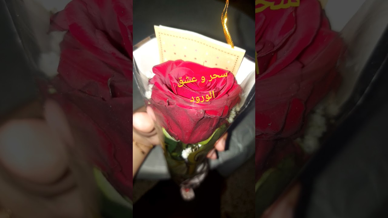 أهديني✨️✨️  وردة اذا احببتني ❤️