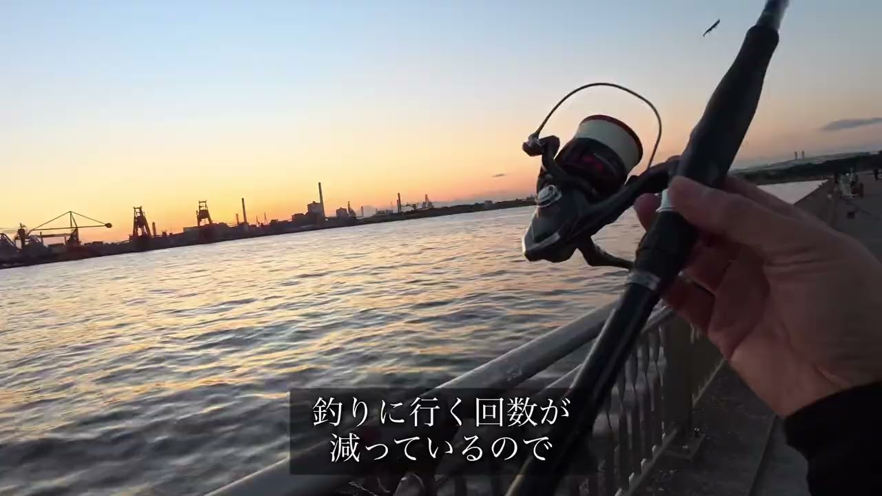 東扇島西公園の夕マズメ！（11月中旬、東扇島西公園）