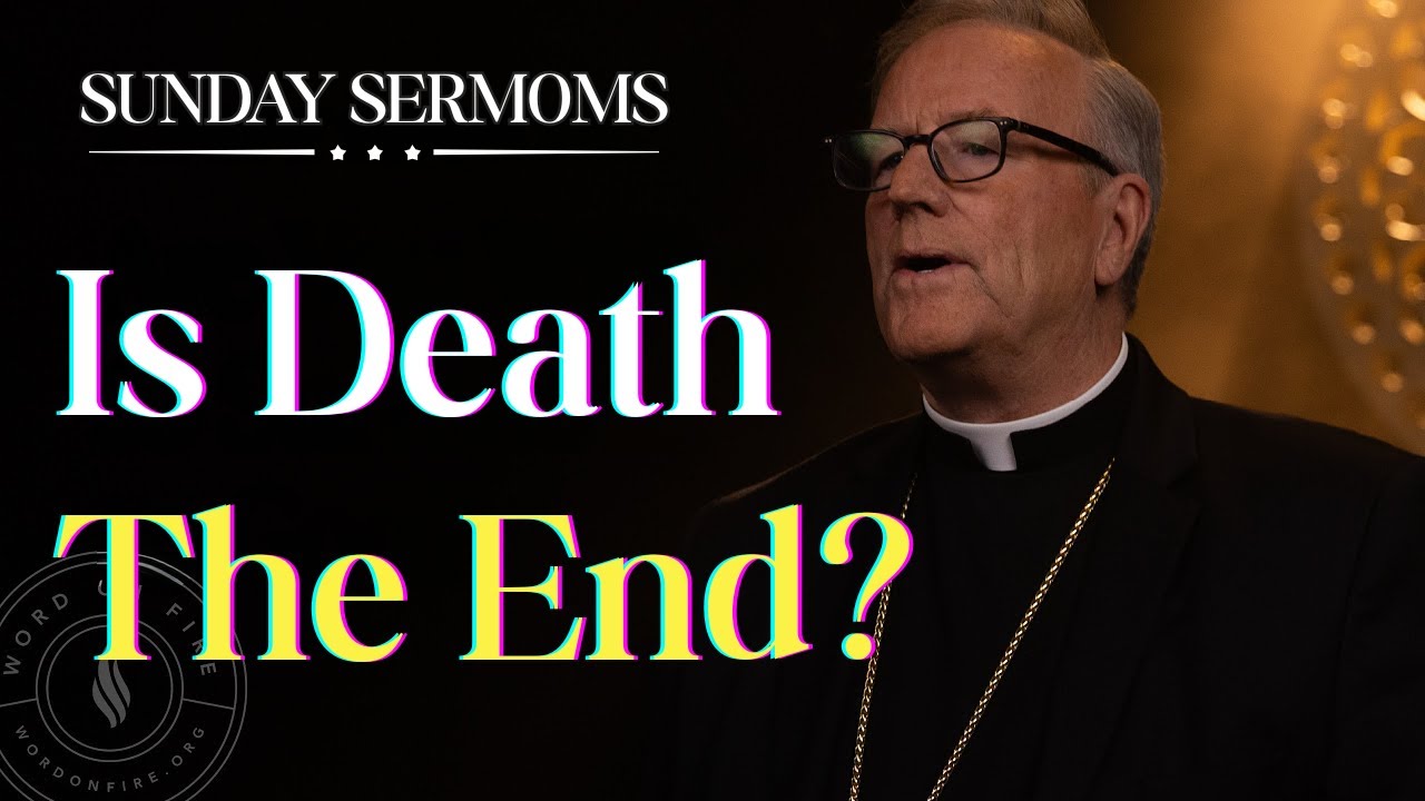 Is Death Really the End? – The Truth That Will Change How You Live | Bishop Barron’s Sunday Sermon