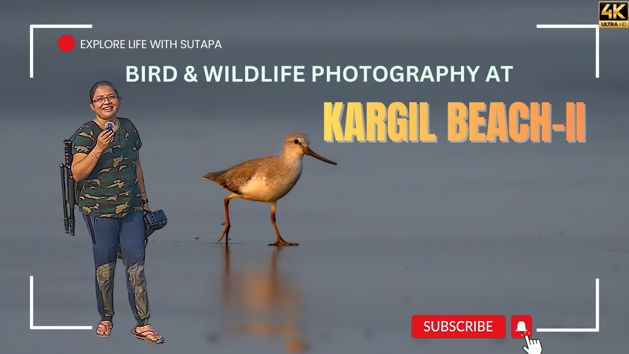 Wildlife at Kargil Beach| Weekend Birding Near Kolkata
