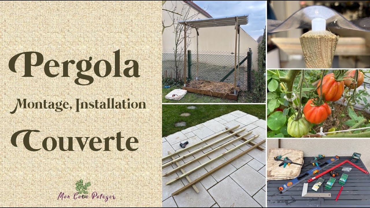 Comment protéger vos tomates en extérieur ?