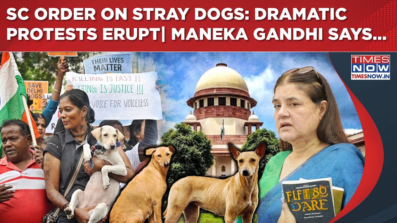 SC Verdict On Strays: Dramatic Protests Rock Delhi As Dog Lovers Hit Streets| Maneka Gandhi Reacts