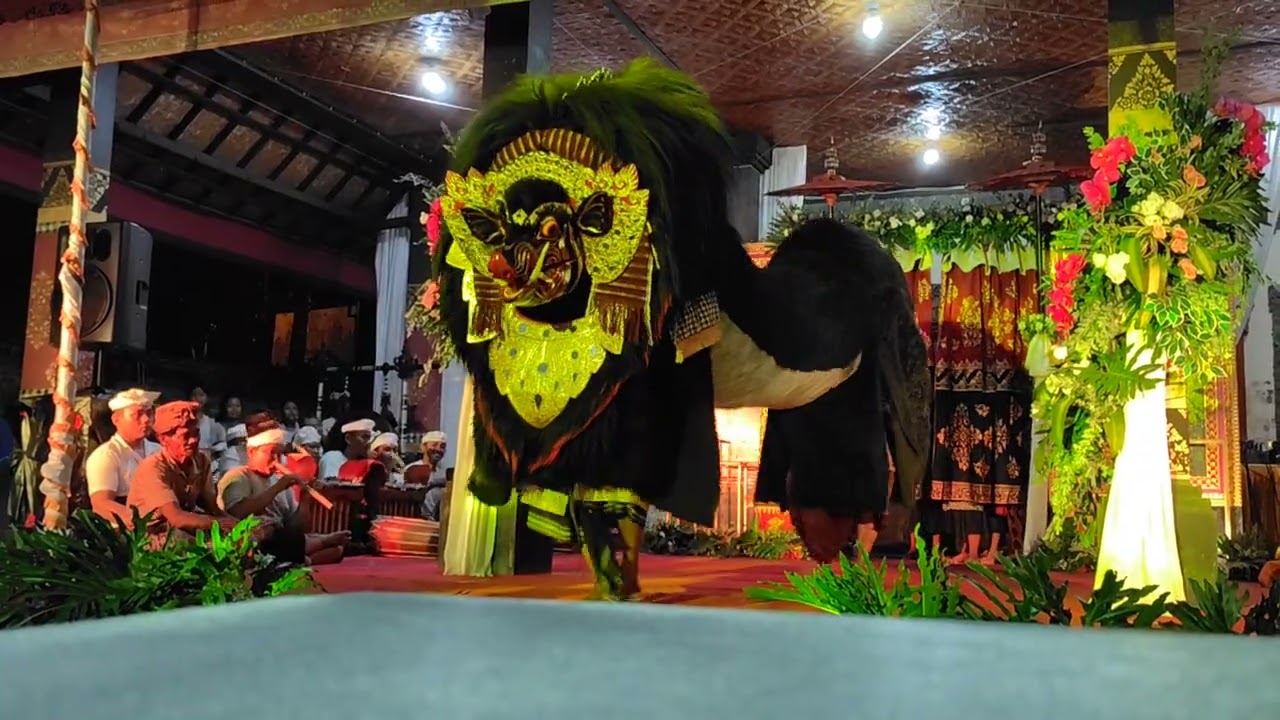 Gladi dolanan anak dalam rangka HUT ST Dharmaja ke 48,, Barong Bangkung Galak