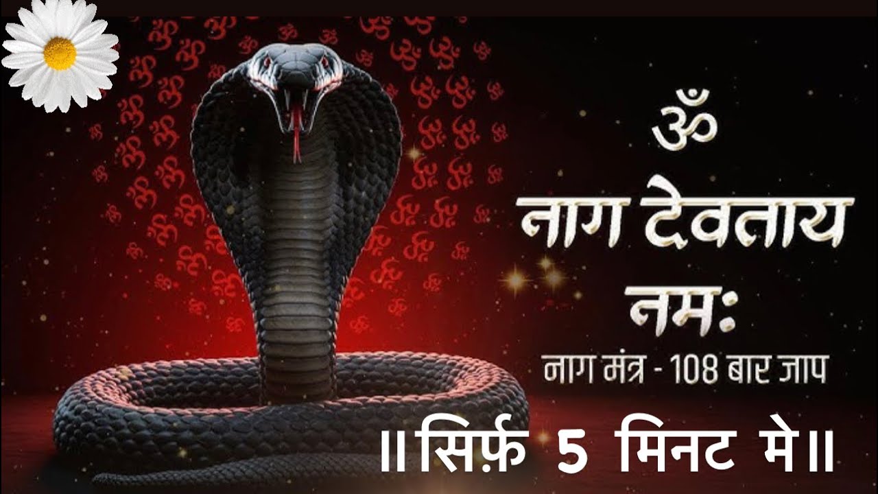 ॐ नाग देवाय नमः ॥Om Nag Devay Namah ॥super fast in 5min powerful Nag Devta Mantra ॥🕉️ 🌸🌺🌼✨🙏🕉️