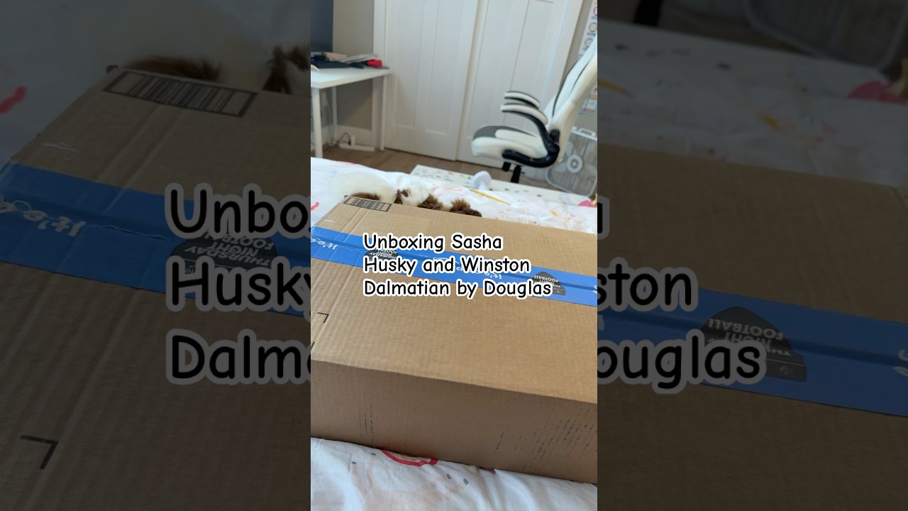 They came!!! Sasha Husky and Winston Dalmatian by Douglas #comfortplush #unboxingtoys #comfort