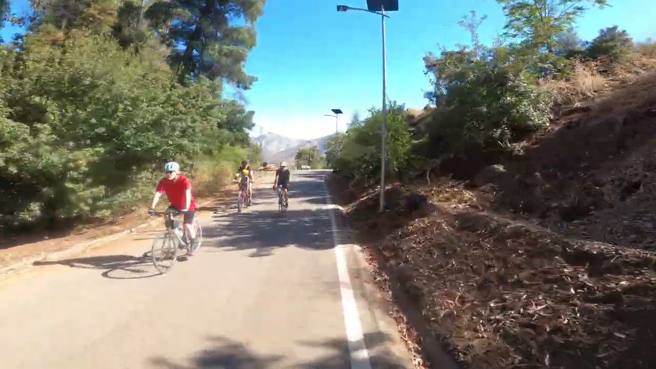 FIXIE 201