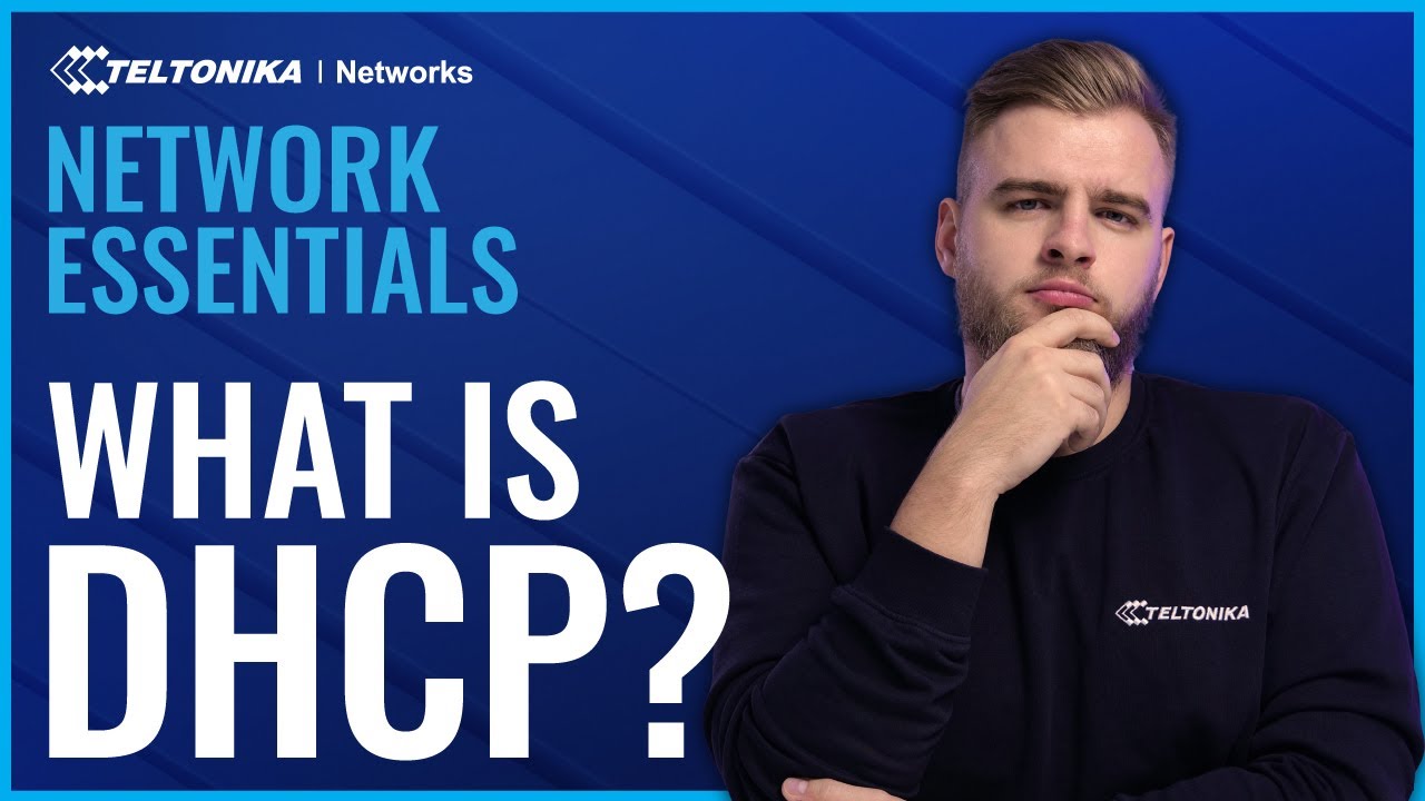 Что такое DHCP и как он работает? | Основы сети