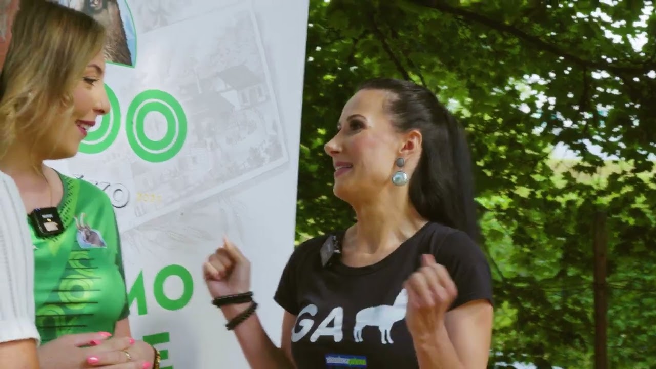 ZLATOROGOV DVOBOJ - Vili Resnik vs Anita Gošte (Laški maksi golf)