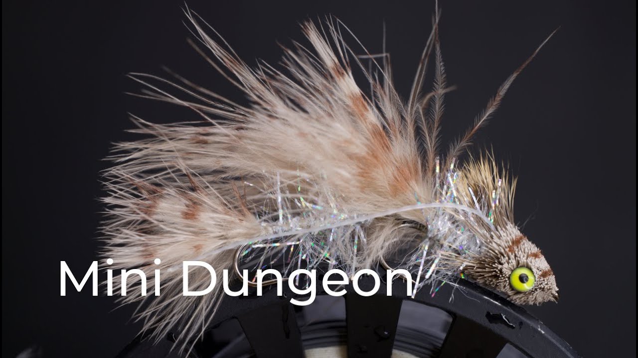 Mini Dungeon