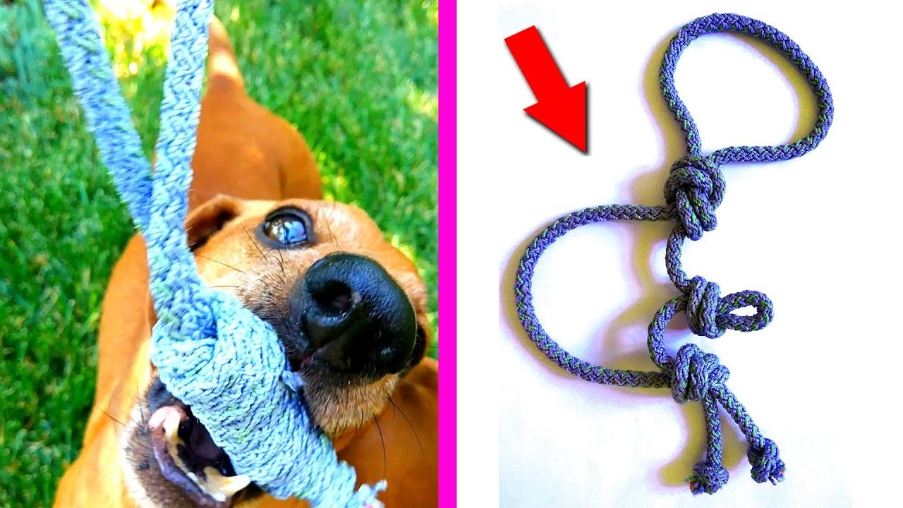 DIY- очень простая игрушка для СОБАК своими руками из веревки | крафтики от Ники