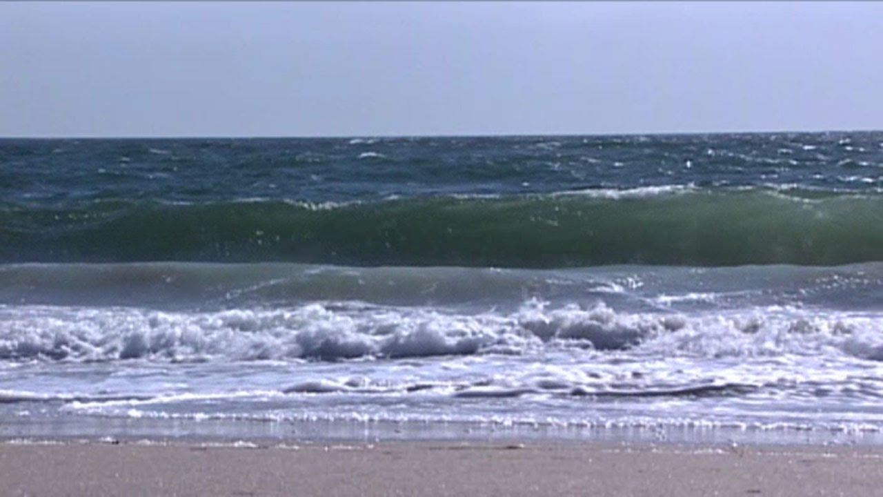 The Basics of Water Quality